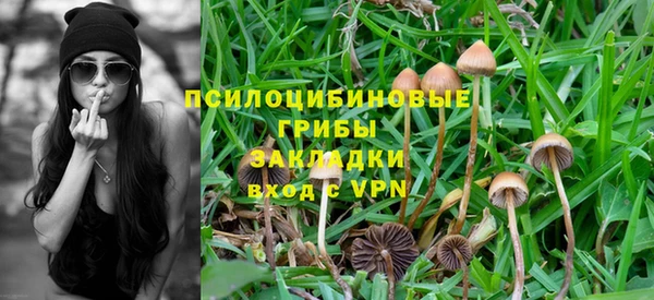 дурь Алзамай