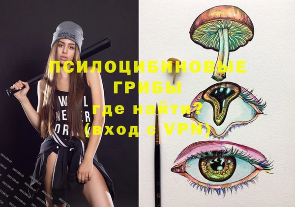 ГАЛЛЮЦИНОГЕННЫЕ ГРИБЫ Алексеевка