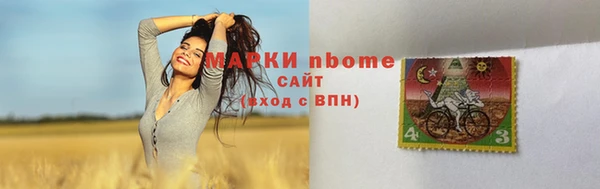 apvp Алексин