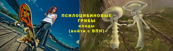 ГАЛЛЮЦИНОГЕННЫЕ ГРИБЫ Алексеевка