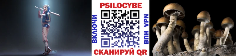 Псилоцибиновые грибы Magic Shrooms  Циолковский 
